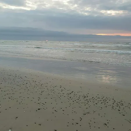 Modern House Close To The North Sea 度假居 Tranum